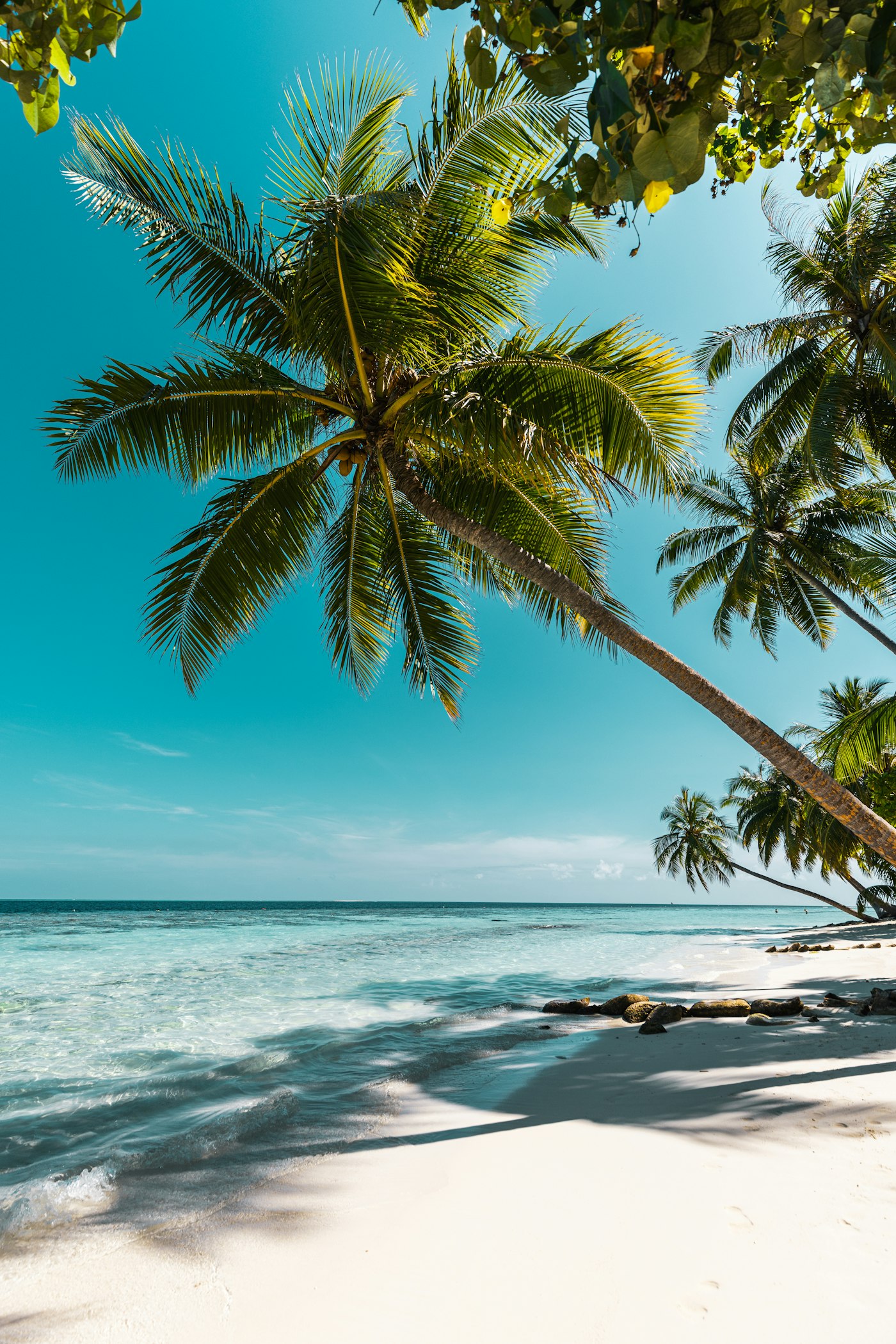 Ilha do Príncipe